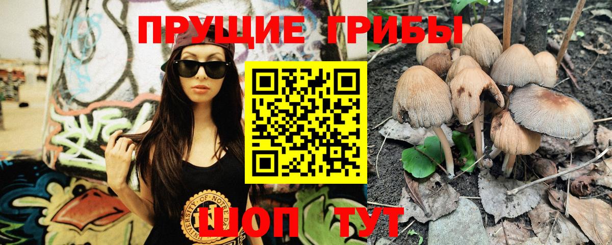 Заринск  Галлюциногенные грибы Psilocybe  Вход с VPN 